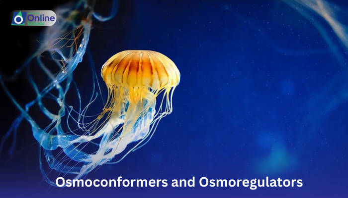 Lesson 03: Osmoconformers and Osmoregulators